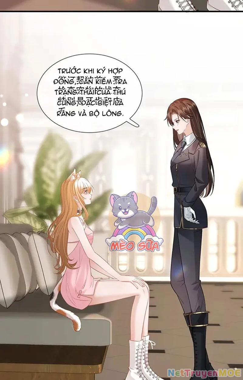 Thưa Ngài, Đuôi Của Ngài Không Giấu Được Nữa Rồi Chapter 11 - Trang 2