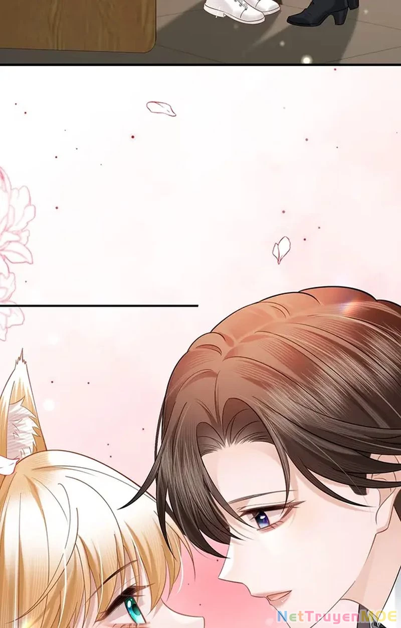 Thưa Ngài, Đuôi Của Ngài Không Giấu Được Nữa Rồi Chapter 11 - Trang 2