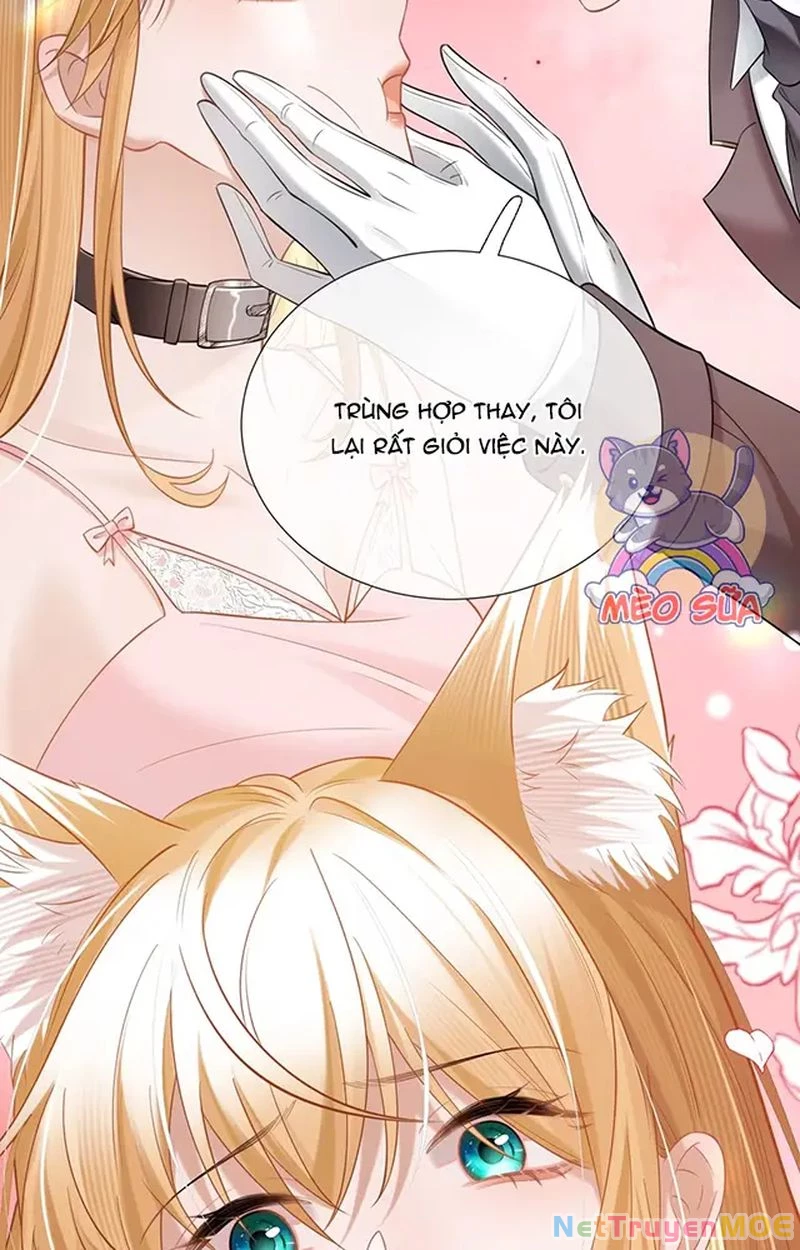 Thưa Ngài, Đuôi Của Ngài Không Giấu Được Nữa Rồi Chapter 11 - Trang 2