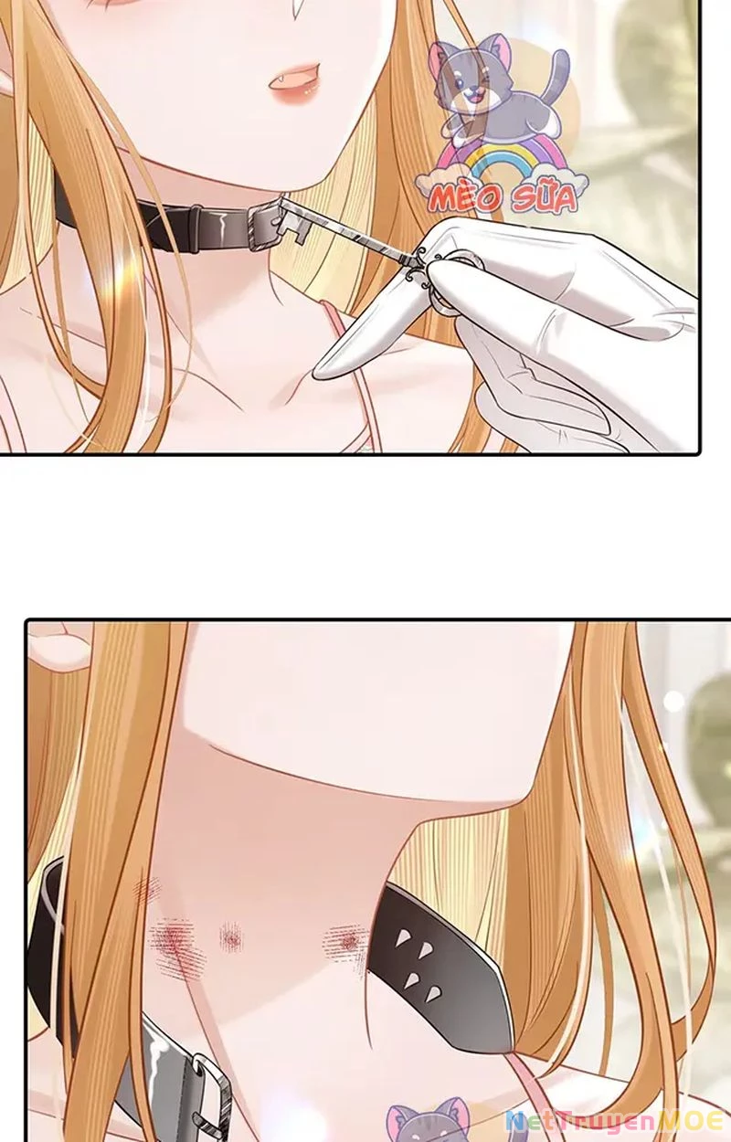 Thưa Ngài, Đuôi Của Ngài Không Giấu Được Nữa Rồi Chapter 11 - Trang 2