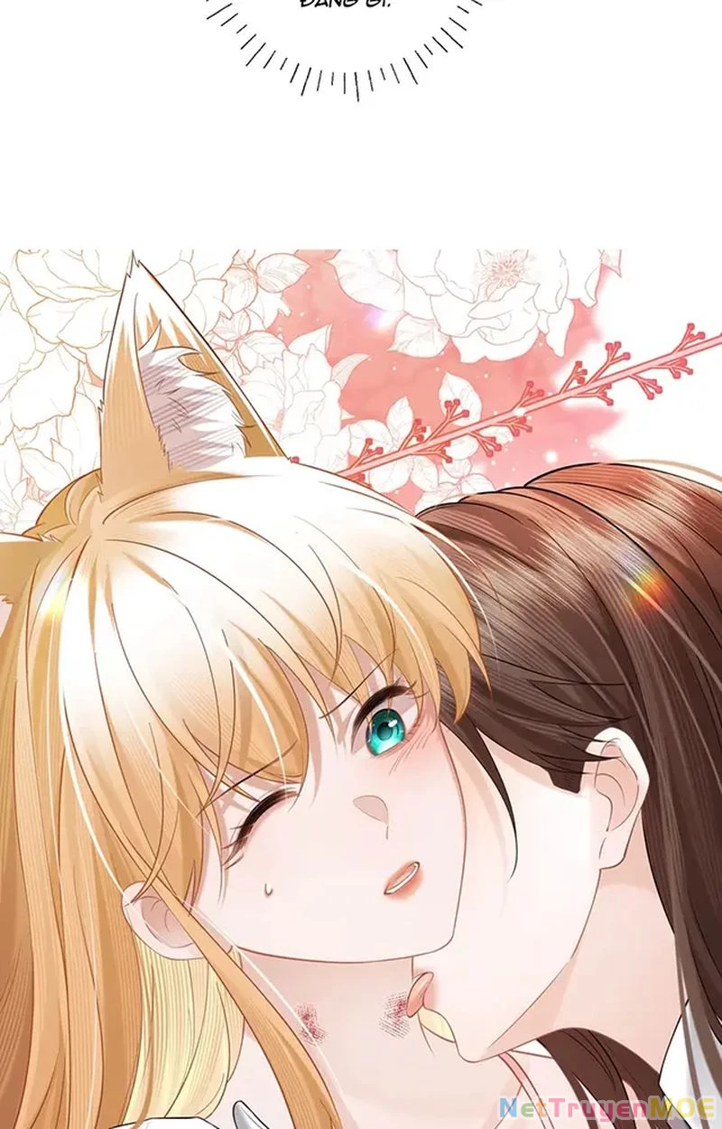 Thưa Ngài, Đuôi Của Ngài Không Giấu Được Nữa Rồi Chapter 11 - Trang 2