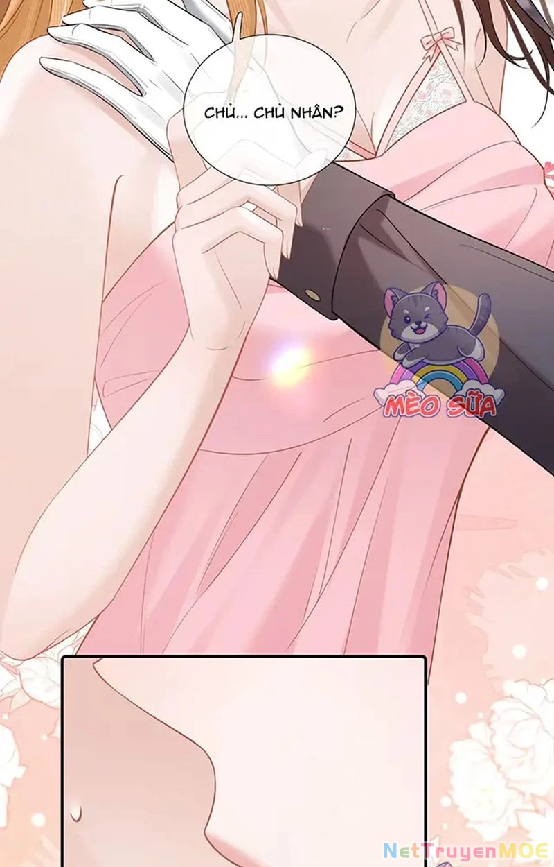 Thưa Ngài, Đuôi Của Ngài Không Giấu Được Nữa Rồi Chapter 11 - Trang 2