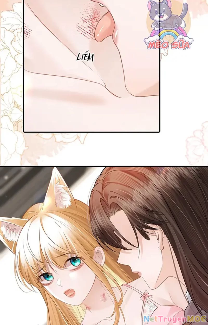 Thưa Ngài, Đuôi Của Ngài Không Giấu Được Nữa Rồi Chapter 11 - Trang 2