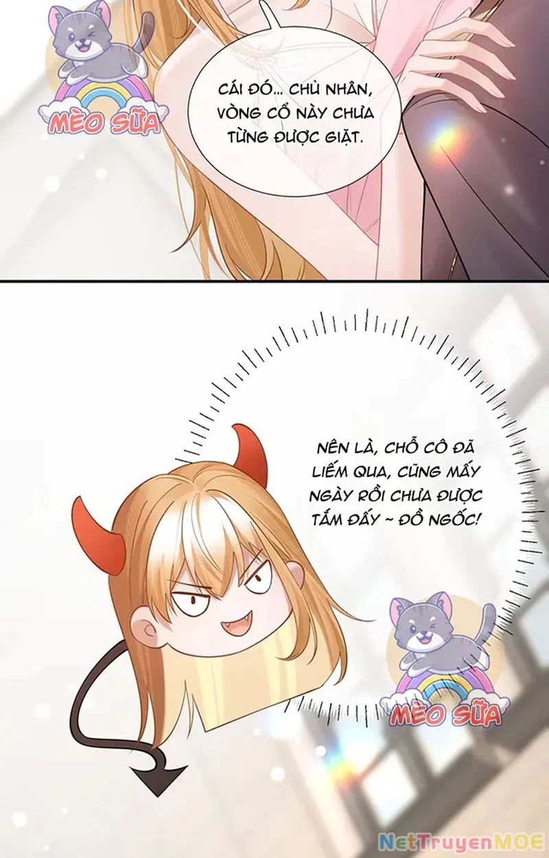 Thưa Ngài, Đuôi Của Ngài Không Giấu Được Nữa Rồi Chapter 11 - Trang 2