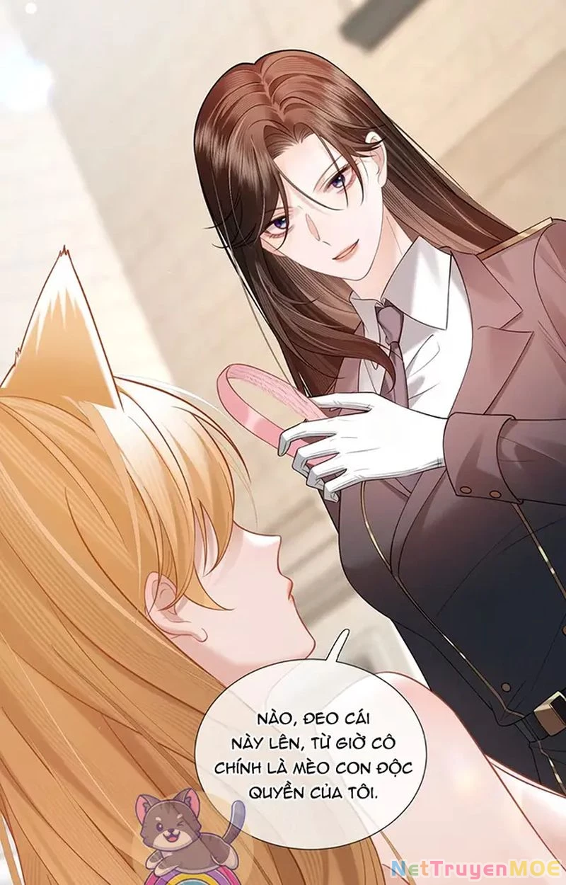 Thưa Ngài, Đuôi Của Ngài Không Giấu Được Nữa Rồi Chapter 11 - Trang 2