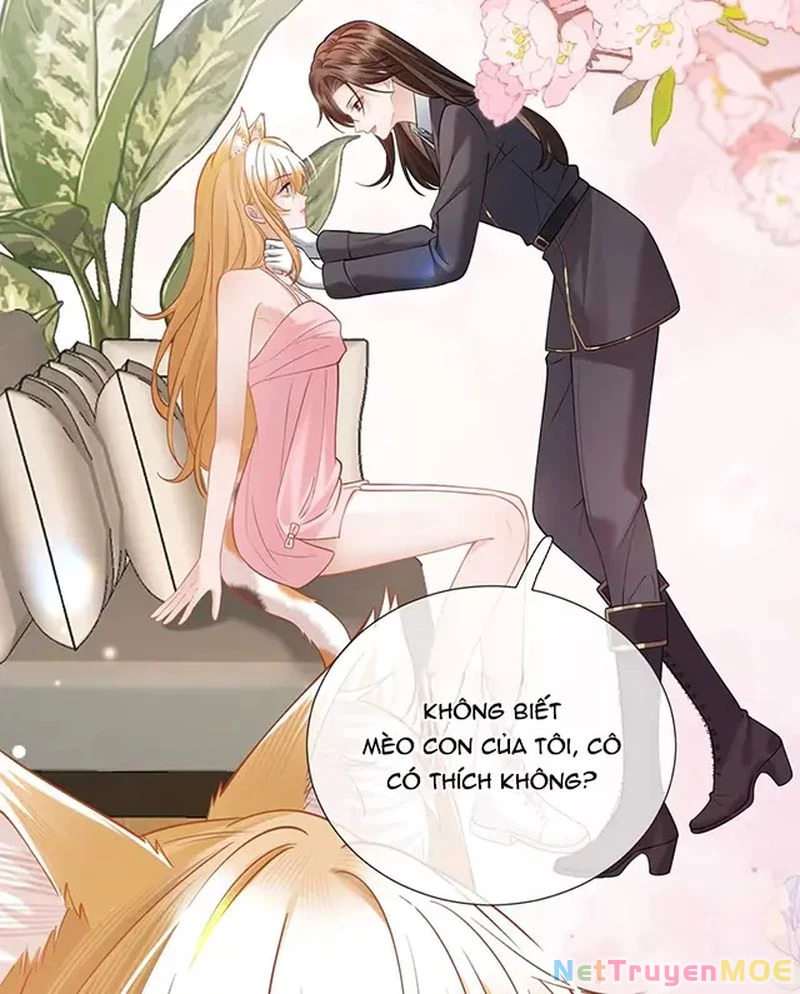 Thưa Ngài, Đuôi Của Ngài Không Giấu Được Nữa Rồi Chapter 11 - Trang 2