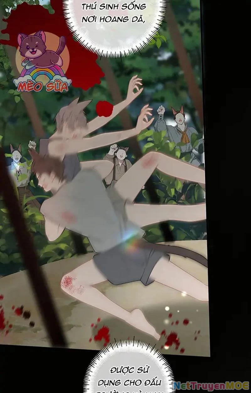 Thưa Ngài, Đuôi Của Ngài Không Giấu Được Nữa Rồi Chapter 12 - Trang 2