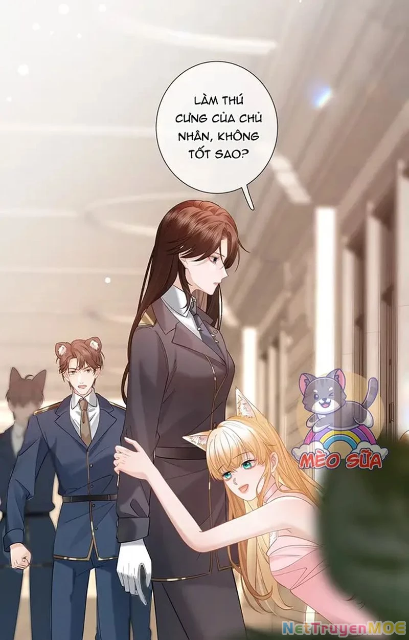 Thưa Ngài, Đuôi Của Ngài Không Giấu Được Nữa Rồi Chapter 12 - Trang 2