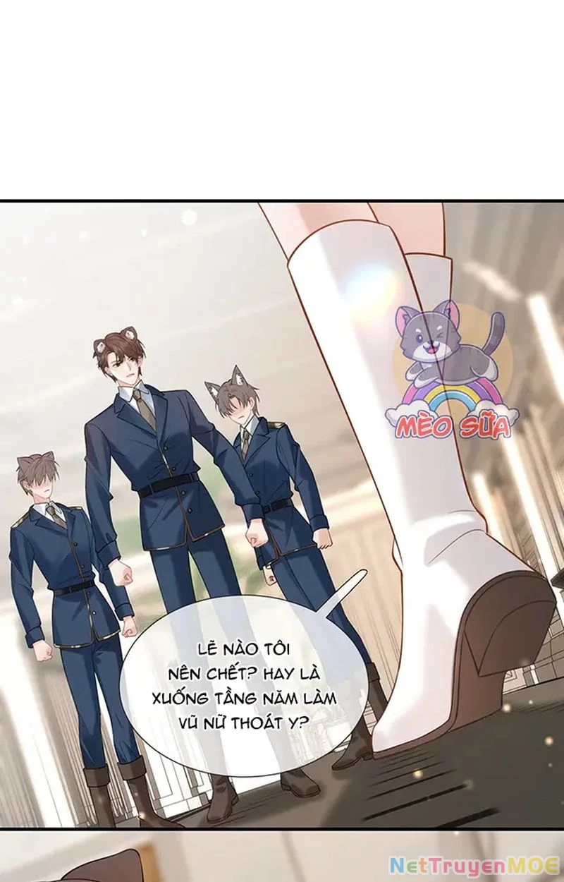 Thưa Ngài, Đuôi Của Ngài Không Giấu Được Nữa Rồi Chapter 12 - Trang 2