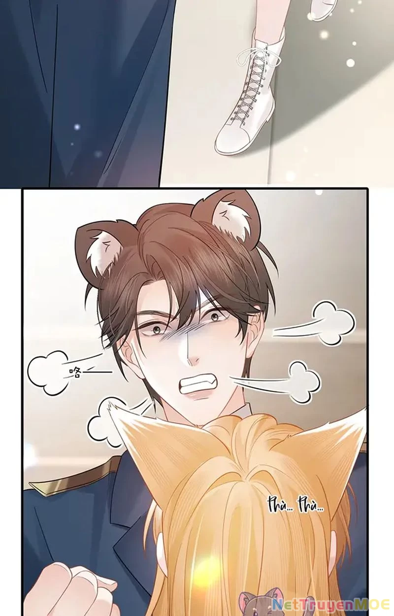 Thưa Ngài, Đuôi Của Ngài Không Giấu Được Nữa Rồi Chapter 12 - Trang 2