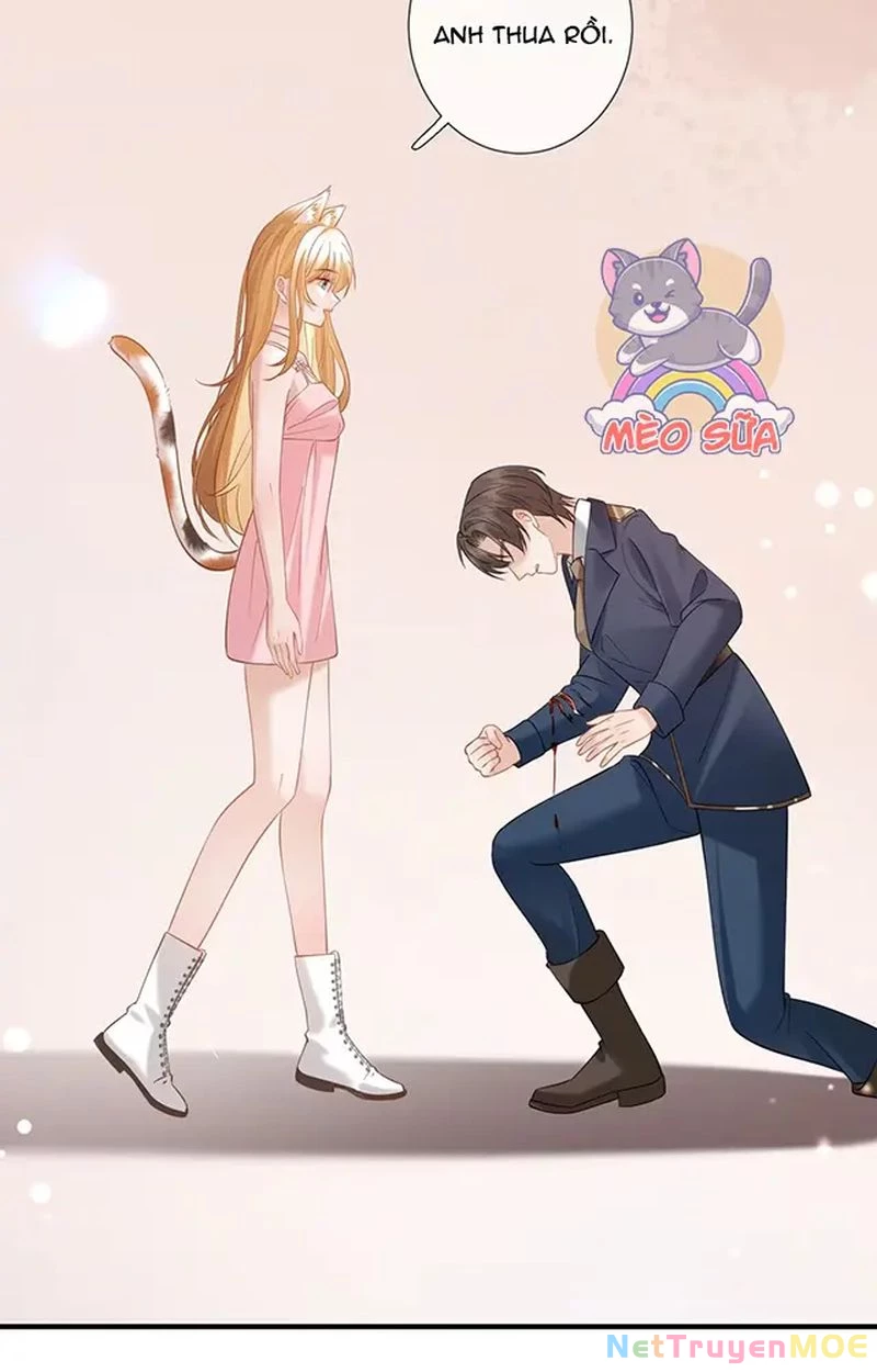 Thưa Ngài, Đuôi Của Ngài Không Giấu Được Nữa Rồi Chapter 12 - Trang 2