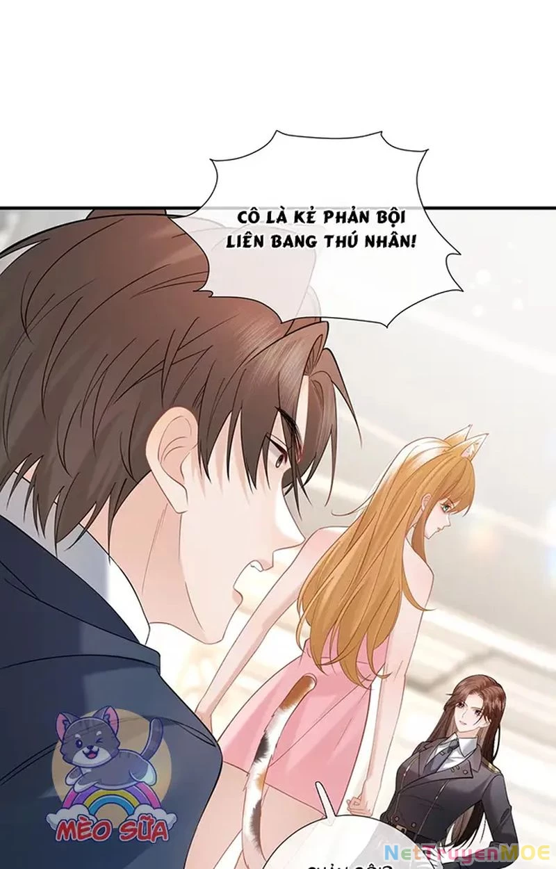 Thưa Ngài, Đuôi Của Ngài Không Giấu Được Nữa Rồi Chapter 12 - Trang 2