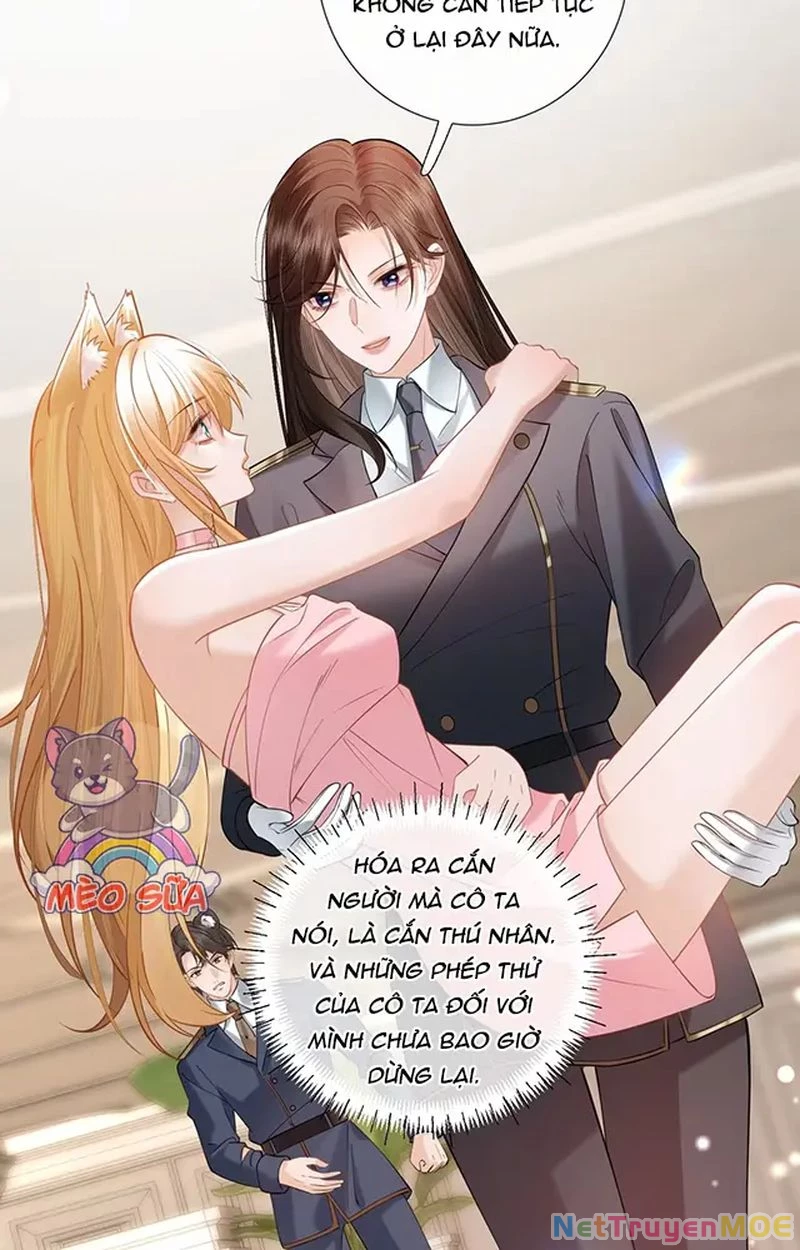 Thưa Ngài, Đuôi Của Ngài Không Giấu Được Nữa Rồi Chapter 12 - Trang 2