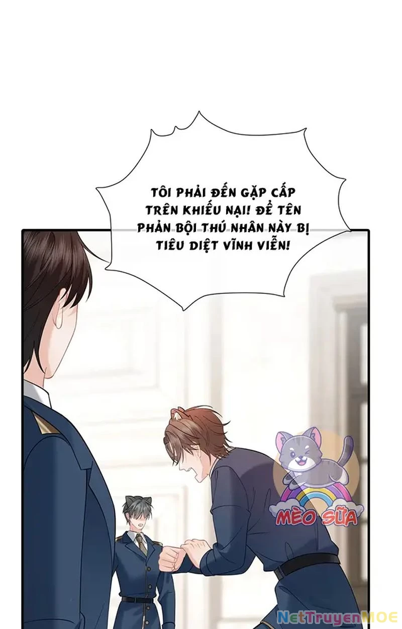 Thưa Ngài, Đuôi Của Ngài Không Giấu Được Nữa Rồi Chapter 12 - Trang 2