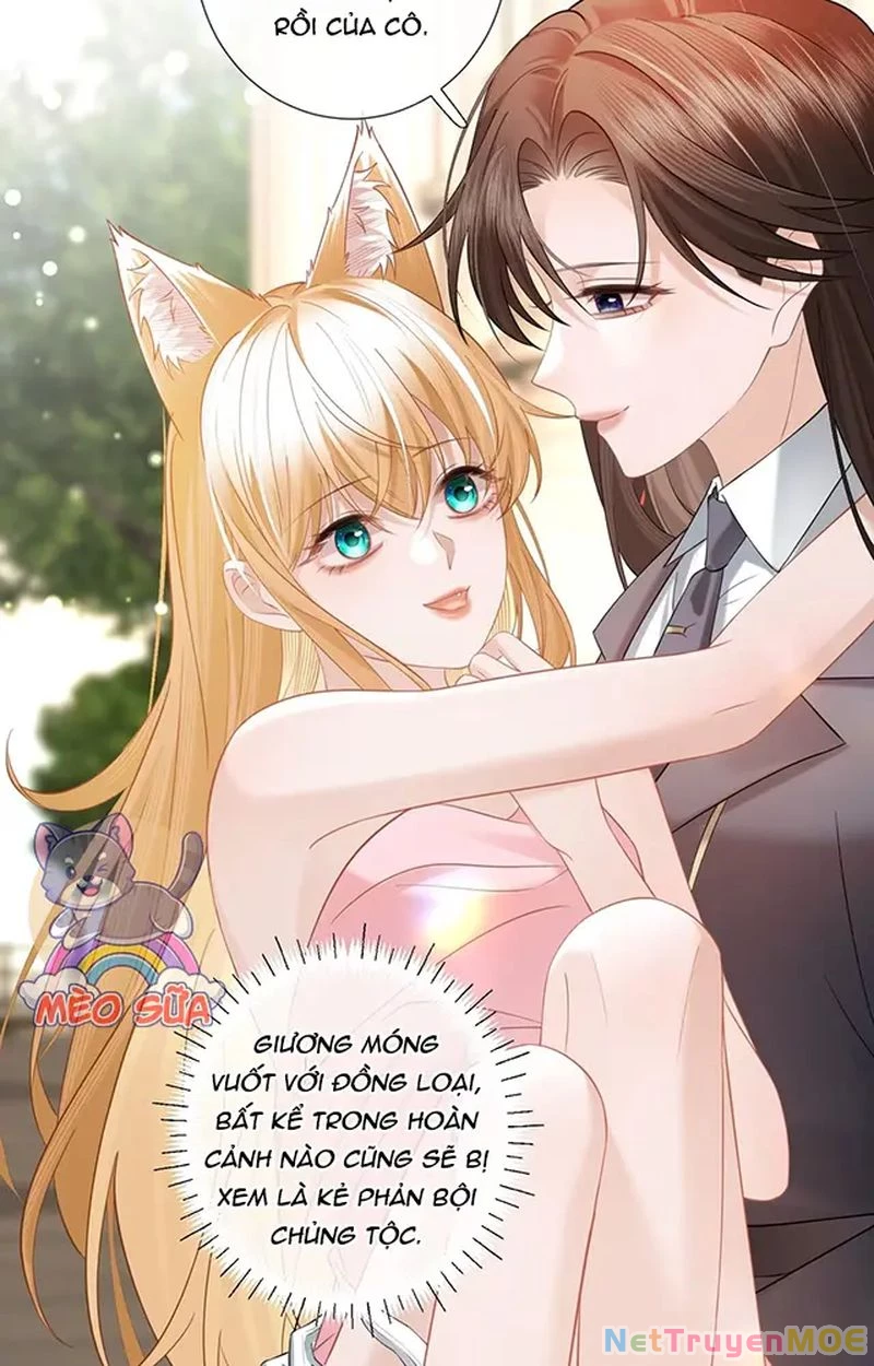 Thưa Ngài, Đuôi Của Ngài Không Giấu Được Nữa Rồi Chapter 12 - Trang 2