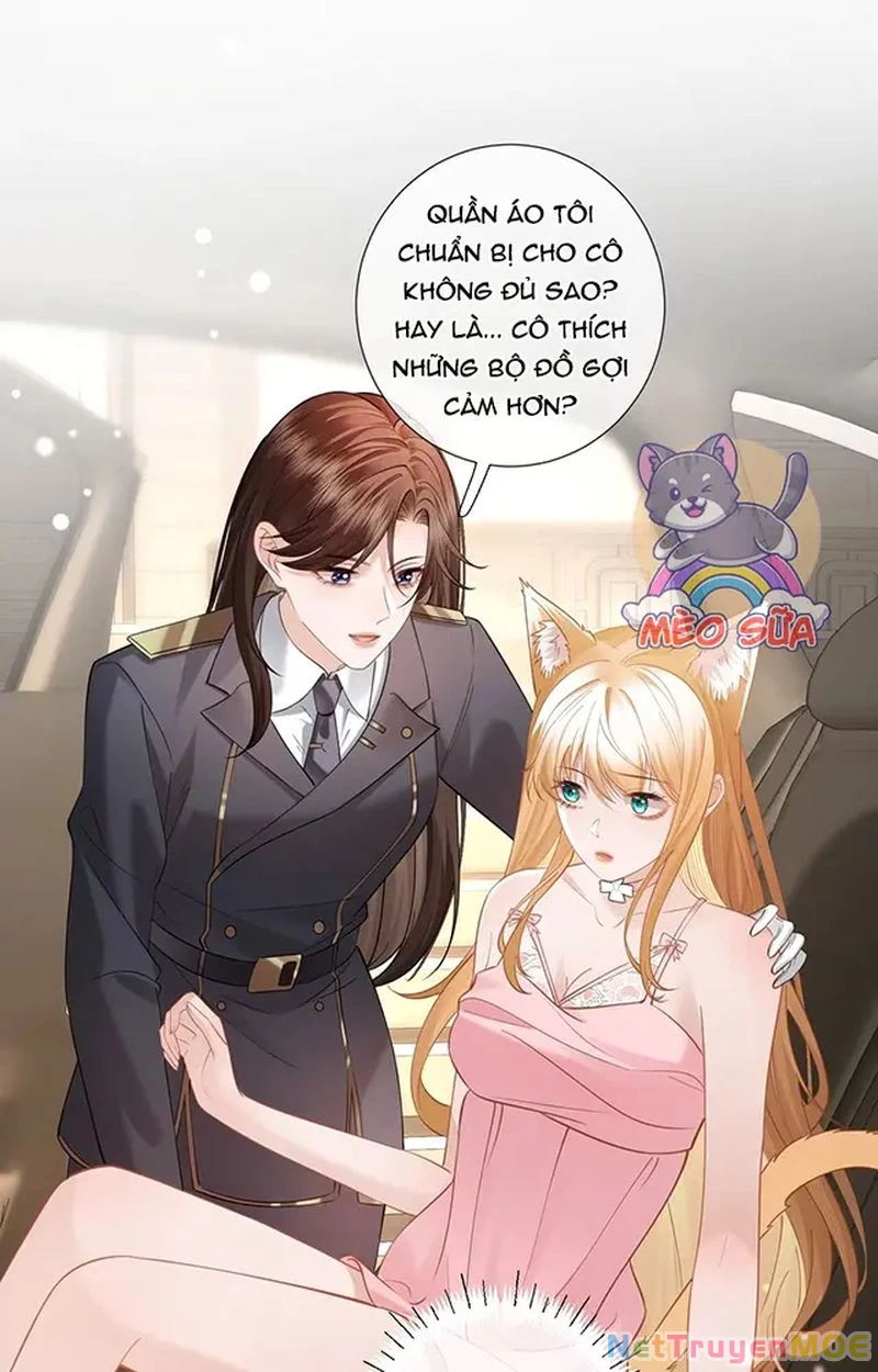 Thưa Ngài, Đuôi Của Ngài Không Giấu Được Nữa Rồi Chapter 12 - Trang 2