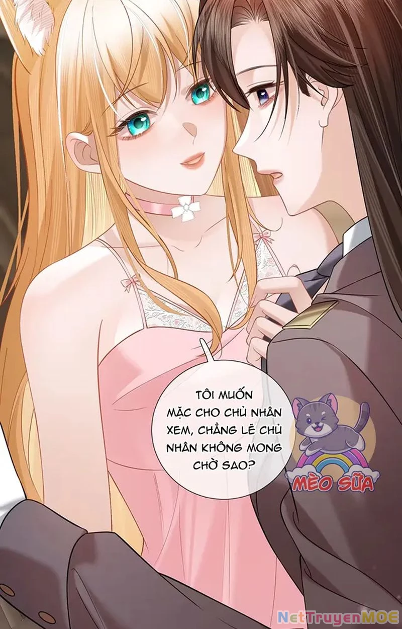 Thưa Ngài, Đuôi Của Ngài Không Giấu Được Nữa Rồi Chapter 12 - Trang 2