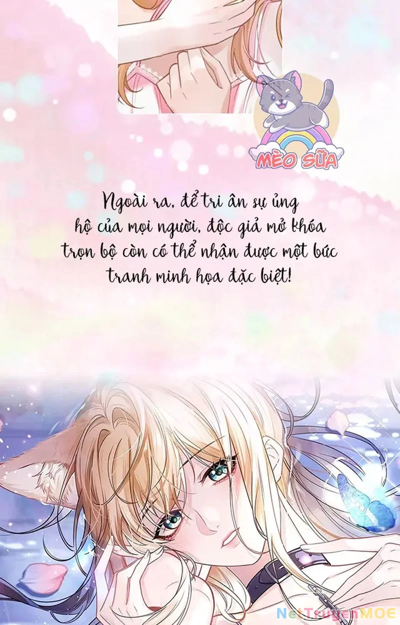 Thưa Ngài, Đuôi Của Ngài Không Giấu Được Nữa Rồi Chapter 12 - Trang 2