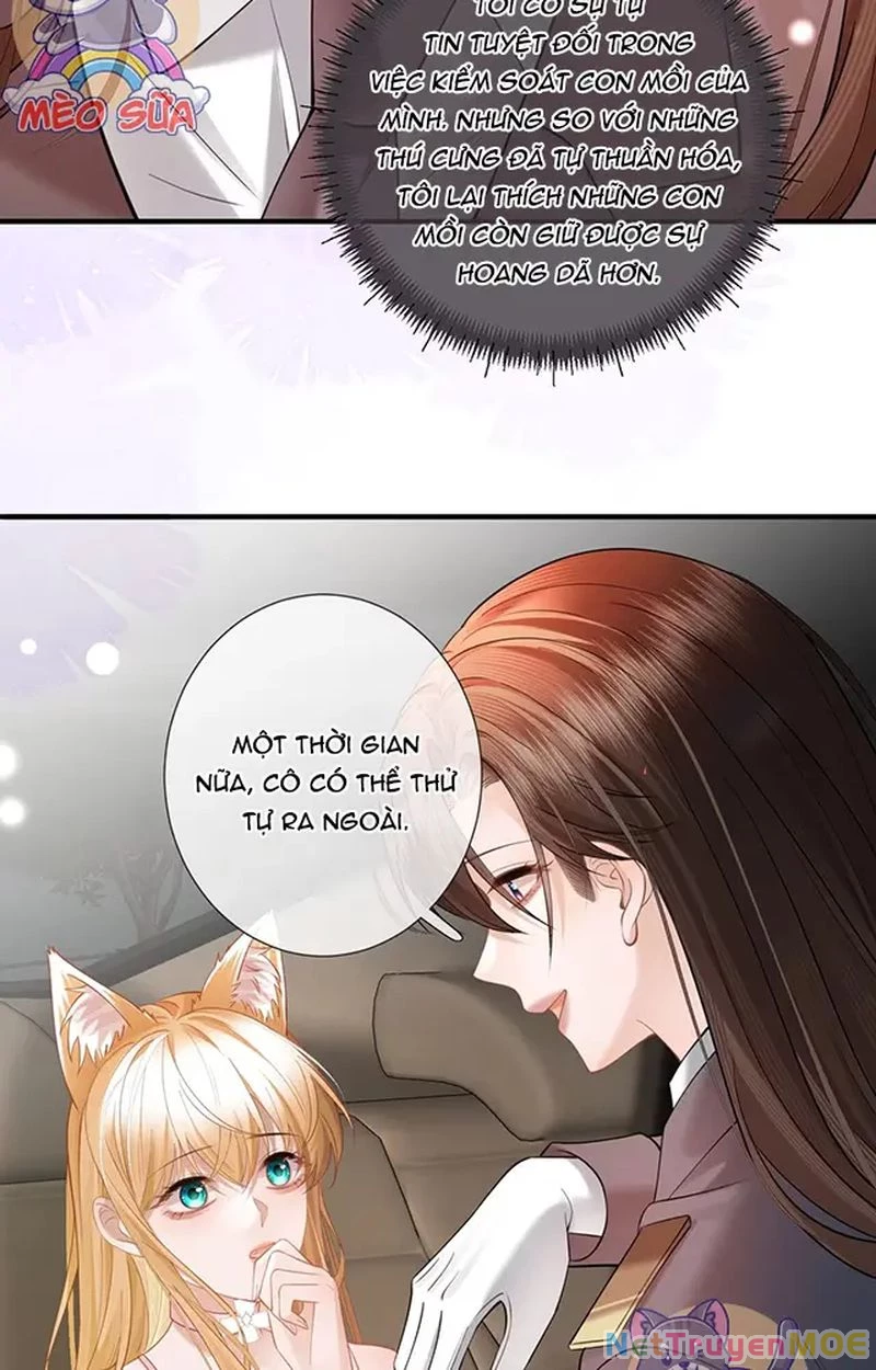 Thưa Ngài, Đuôi Của Ngài Không Giấu Được Nữa Rồi Chapter 13 - Trang 2