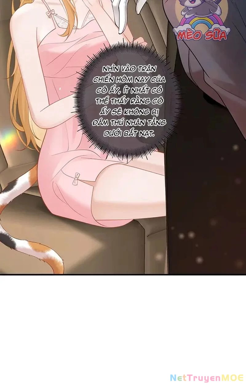 Thưa Ngài, Đuôi Của Ngài Không Giấu Được Nữa Rồi Chapter 13 - Trang 2