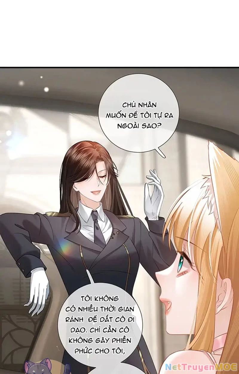 Thưa Ngài, Đuôi Của Ngài Không Giấu Được Nữa Rồi Chapter 13 - Trang 2
