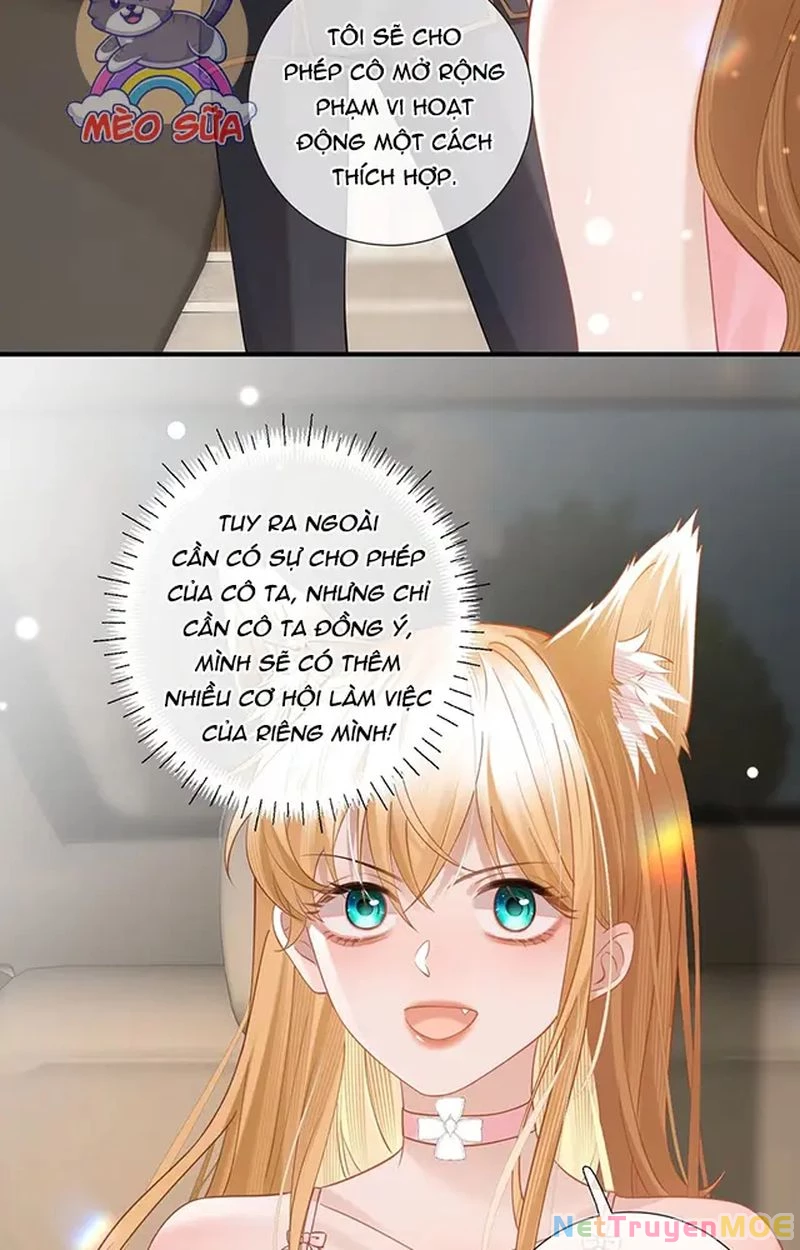 Thưa Ngài, Đuôi Của Ngài Không Giấu Được Nữa Rồi Chapter 13 - Trang 2