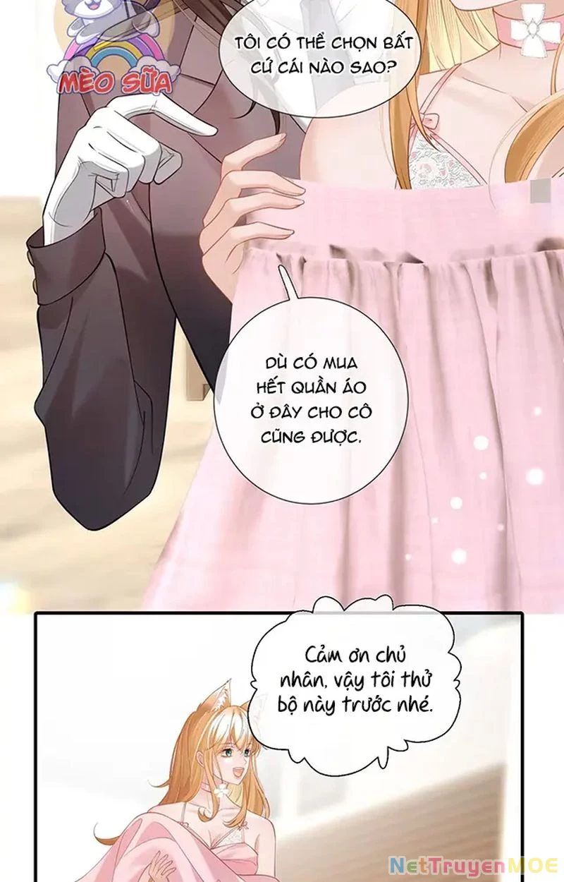 Thưa Ngài, Đuôi Của Ngài Không Giấu Được Nữa Rồi Chapter 13 - Trang 2