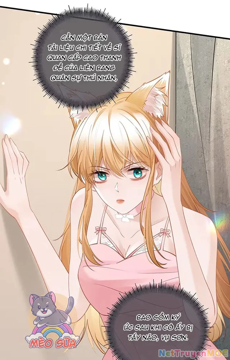Thưa Ngài, Đuôi Của Ngài Không Giấu Được Nữa Rồi Chapter 13 - Trang 2