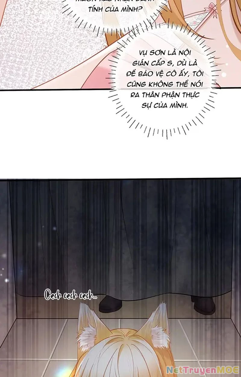 Thưa Ngài, Đuôi Của Ngài Không Giấu Được Nữa Rồi Chapter 13 - Trang 2