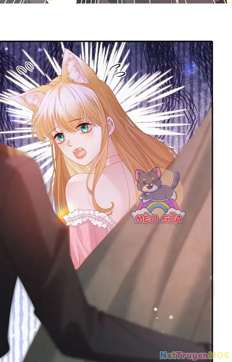 Thưa Ngài, Đuôi Của Ngài Không Giấu Được Nữa Rồi Chapter 13 - Trang 2