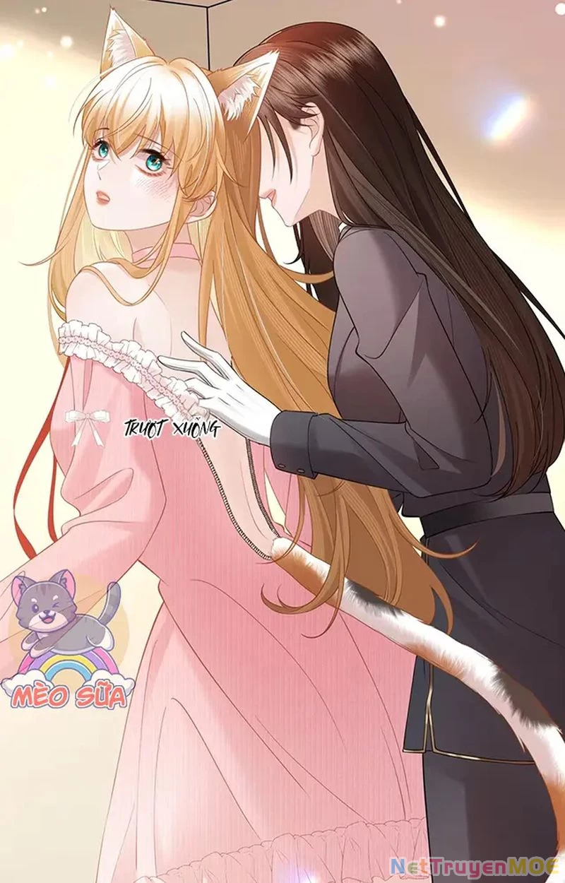 Thưa Ngài, Đuôi Của Ngài Không Giấu Được Nữa Rồi Chapter 13 - Trang 2
