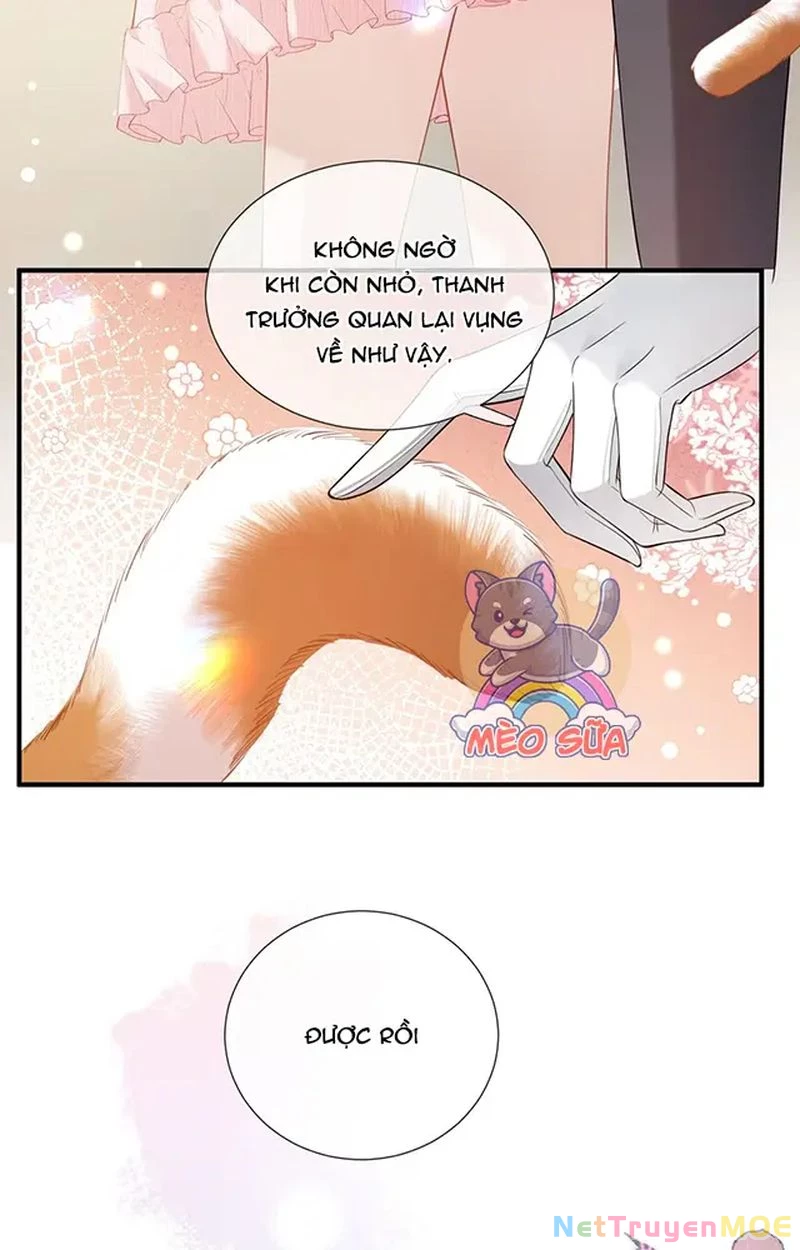 Thưa Ngài, Đuôi Của Ngài Không Giấu Được Nữa Rồi Chapter 13 - Trang 2