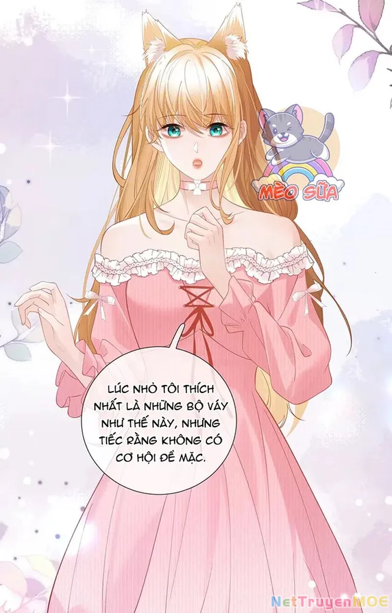 Thưa Ngài, Đuôi Của Ngài Không Giấu Được Nữa Rồi Chapter 13 - Trang 2