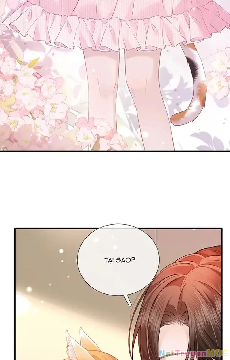 Thưa Ngài, Đuôi Của Ngài Không Giấu Được Nữa Rồi Chapter 13 - Trang 2