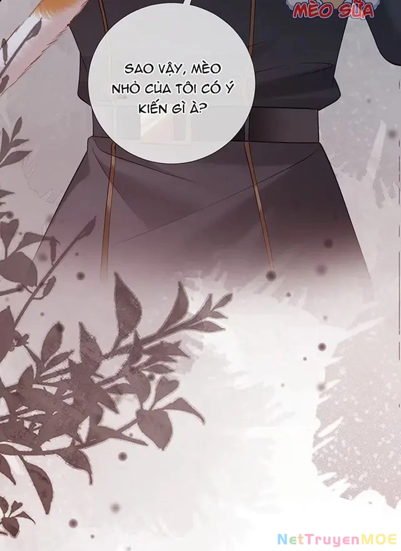 Thưa Ngài, Đuôi Của Ngài Không Giấu Được Nữa Rồi Chapter 13 - Trang 2