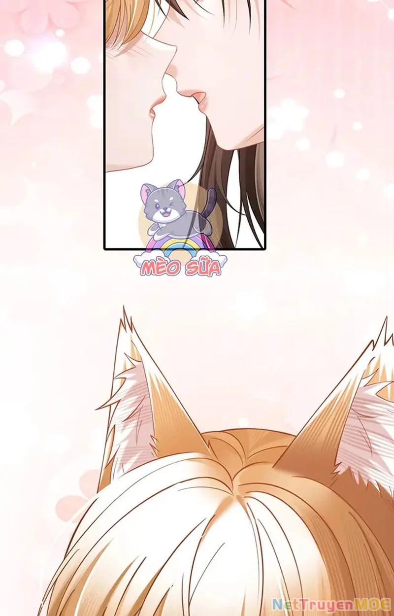 Thưa Ngài, Đuôi Của Ngài Không Giấu Được Nữa Rồi Chapter 14 - Trang 2