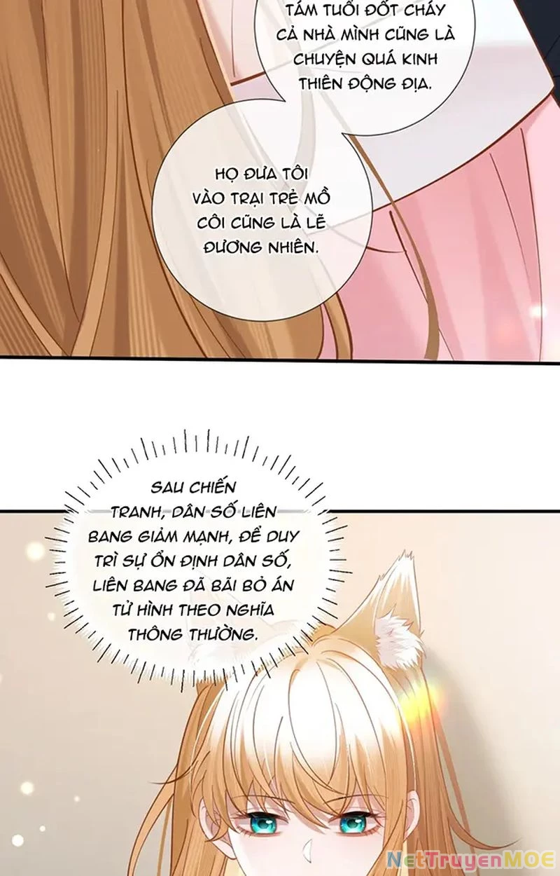 Thưa Ngài, Đuôi Của Ngài Không Giấu Được Nữa Rồi Chapter 14 - Trang 2