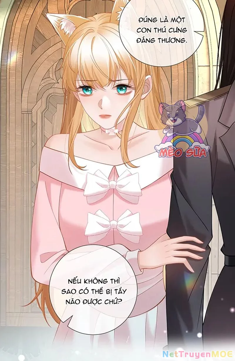 Thưa Ngài, Đuôi Của Ngài Không Giấu Được Nữa Rồi Chapter 14 - Trang 2
