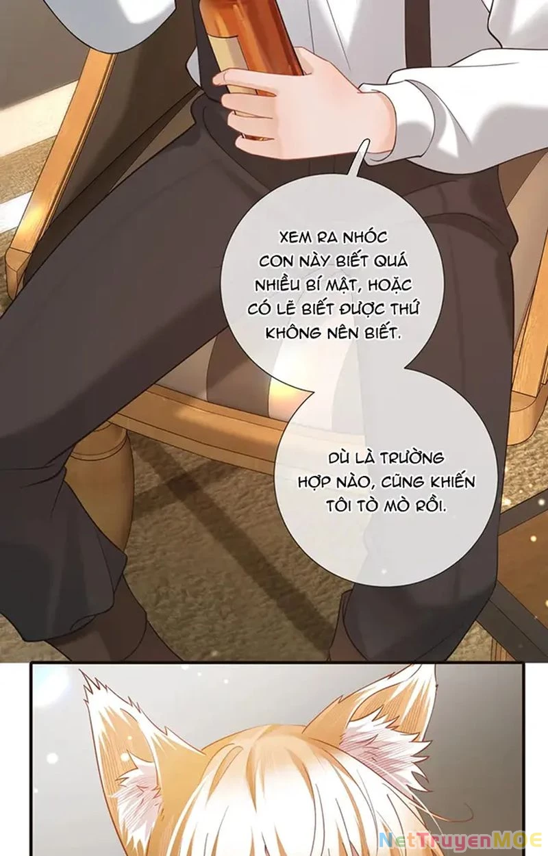 Thưa Ngài, Đuôi Của Ngài Không Giấu Được Nữa Rồi Chapter 15 - Trang 2