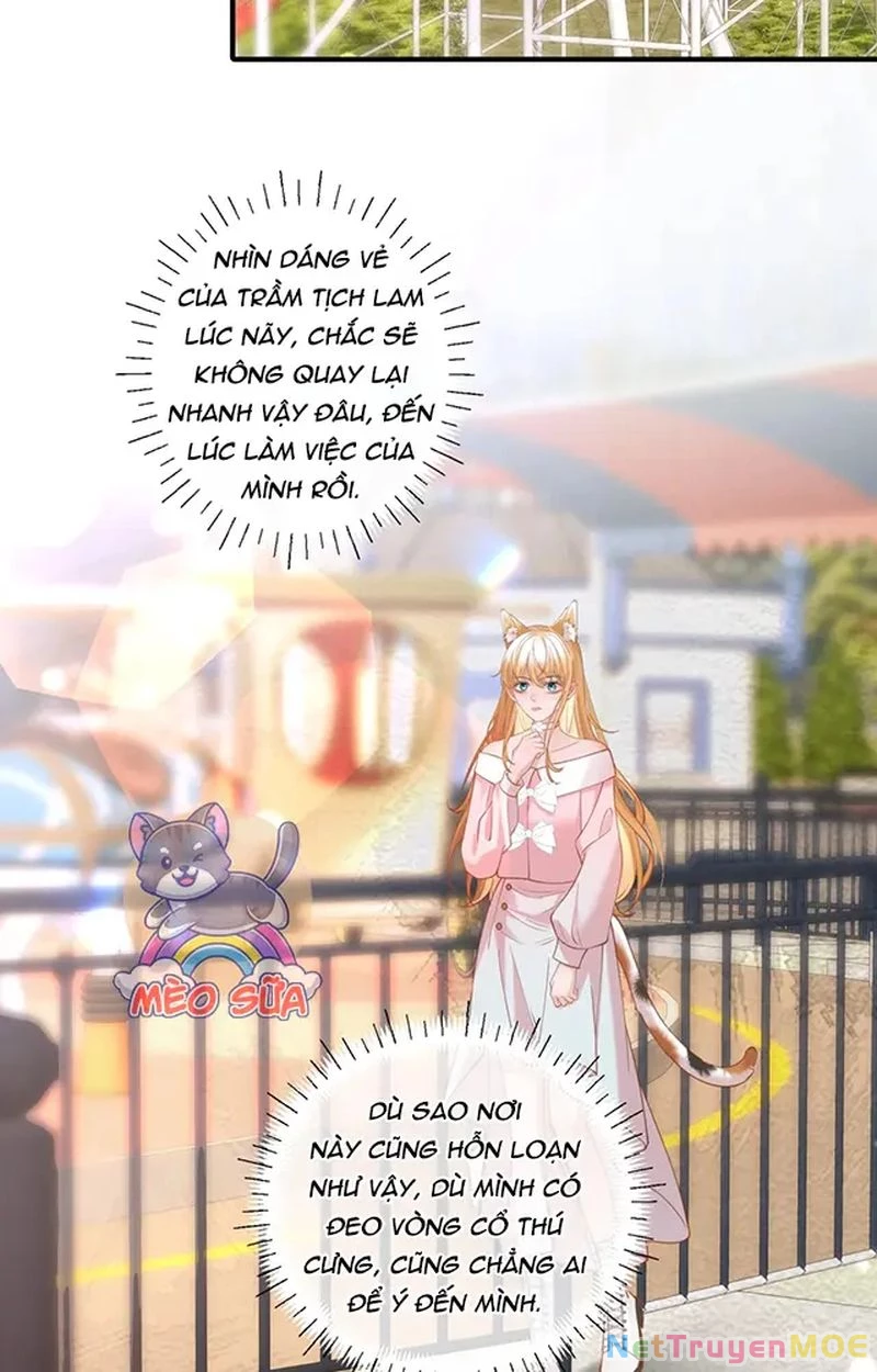 Thưa Ngài, Đuôi Của Ngài Không Giấu Được Nữa Rồi Chapter 15 - Trang 2