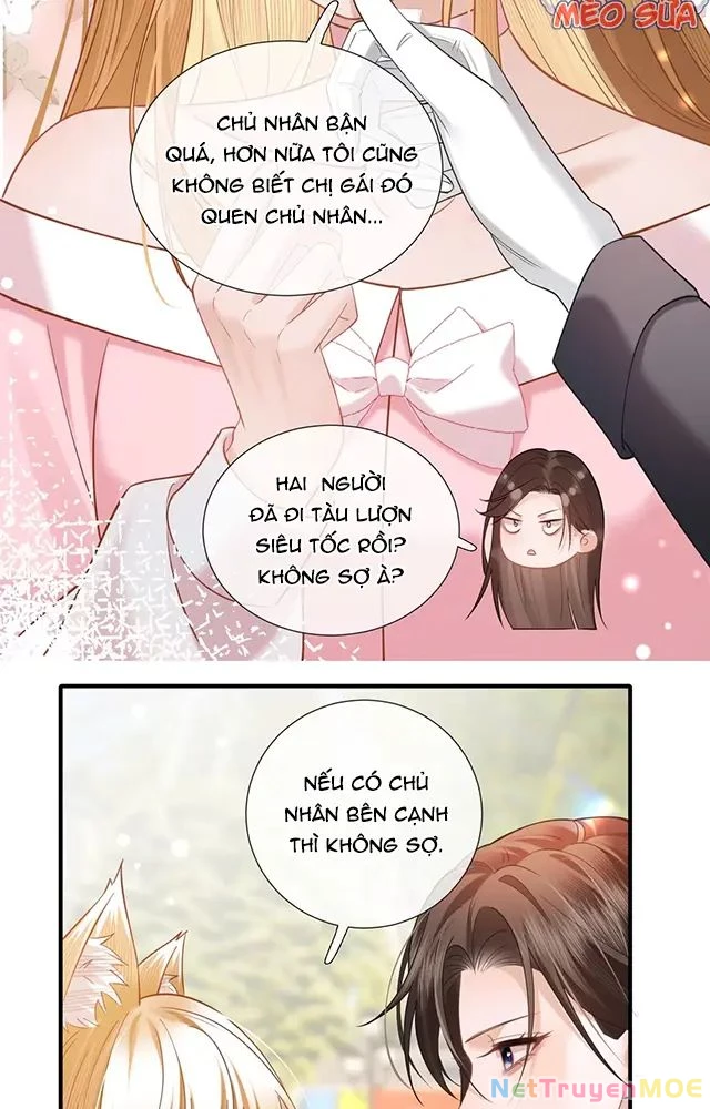 Thưa Ngài, Đuôi Của Ngài Không Giấu Được Nữa Rồi Chapter 16 - Trang 2