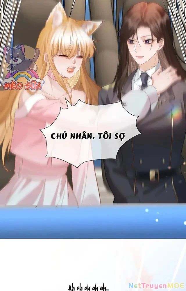 Thưa Ngài, Đuôi Của Ngài Không Giấu Được Nữa Rồi Chapter 16 - Trang 2