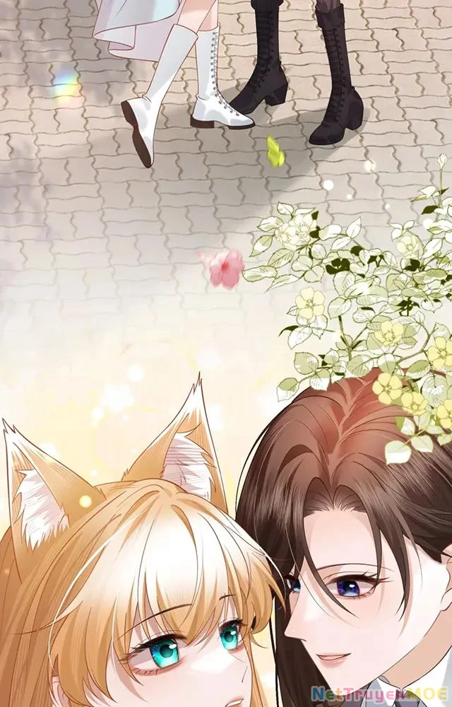 Thưa Ngài, Đuôi Của Ngài Không Giấu Được Nữa Rồi Chapter 16 - Trang 2