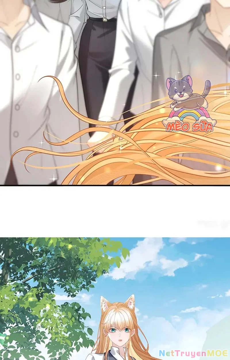 Thưa Ngài, Đuôi Của Ngài Không Giấu Được Nữa Rồi Chapter 17 - Trang 2