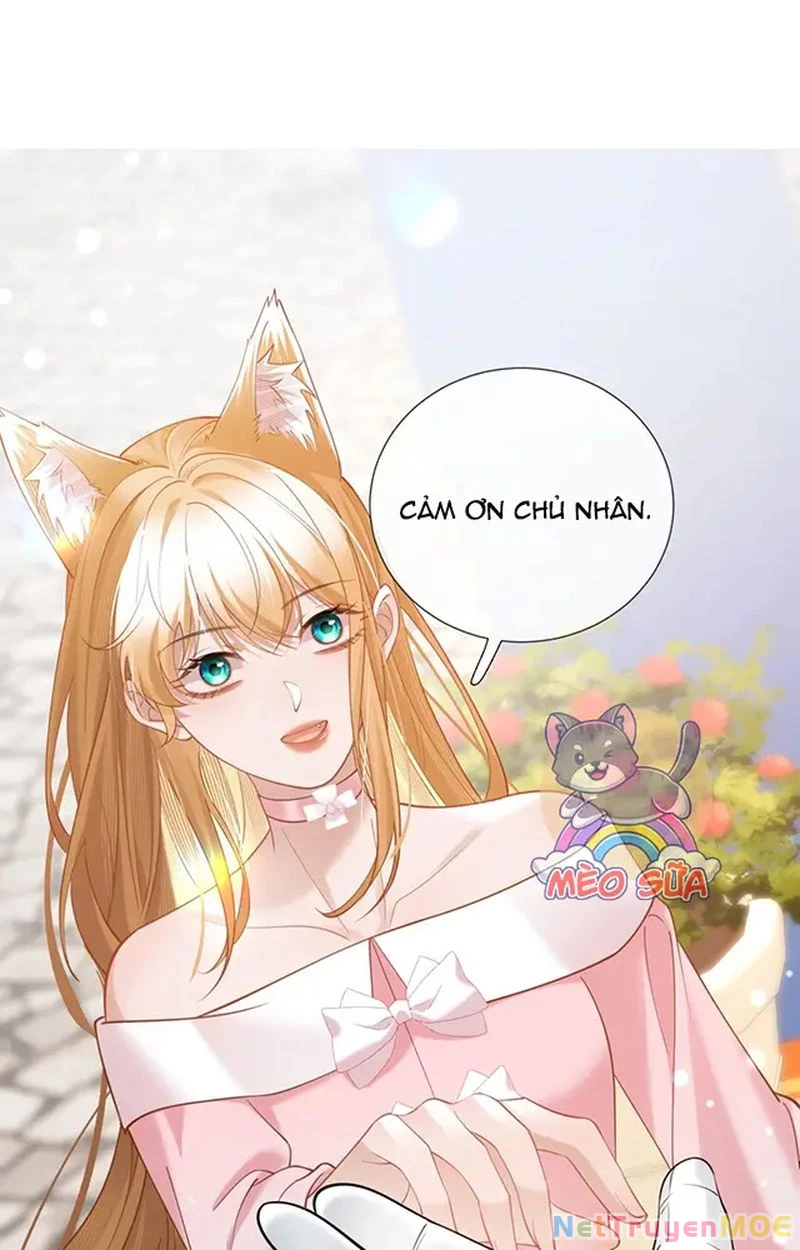 Thưa Ngài, Đuôi Của Ngài Không Giấu Được Nữa Rồi Chapter 17 - Trang 2