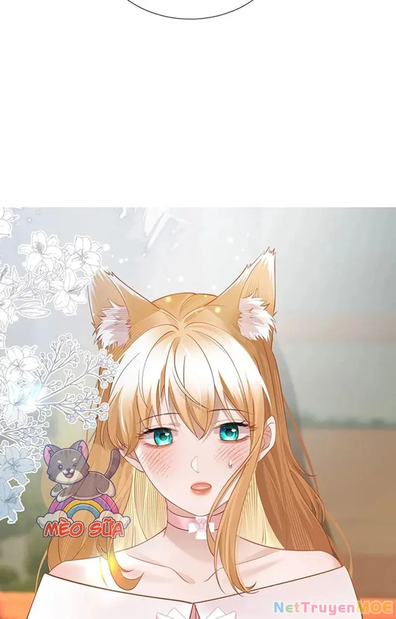 Thưa Ngài, Đuôi Của Ngài Không Giấu Được Nữa Rồi Chapter 17 - Trang 2