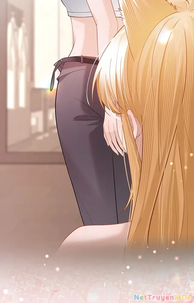 Thưa Ngài, Đuôi Của Ngài Không Giấu Được Nữa Rồi Chapter 18 - Trang 2