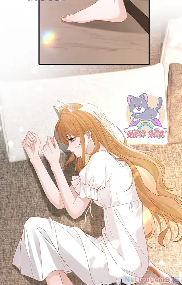 Thưa Ngài, Đuôi Của Ngài Không Giấu Được Nữa Rồi Chapter 19 - Trang 2