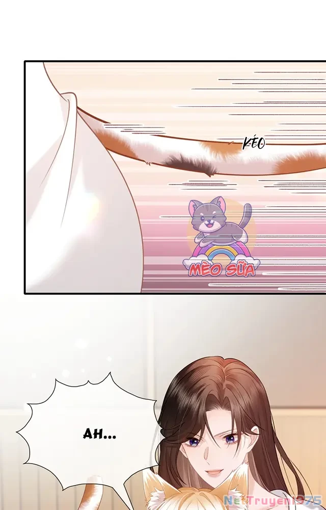 Thưa Ngài, Đuôi Của Ngài Không Giấu Được Nữa Rồi Chapter 19 - Trang 2