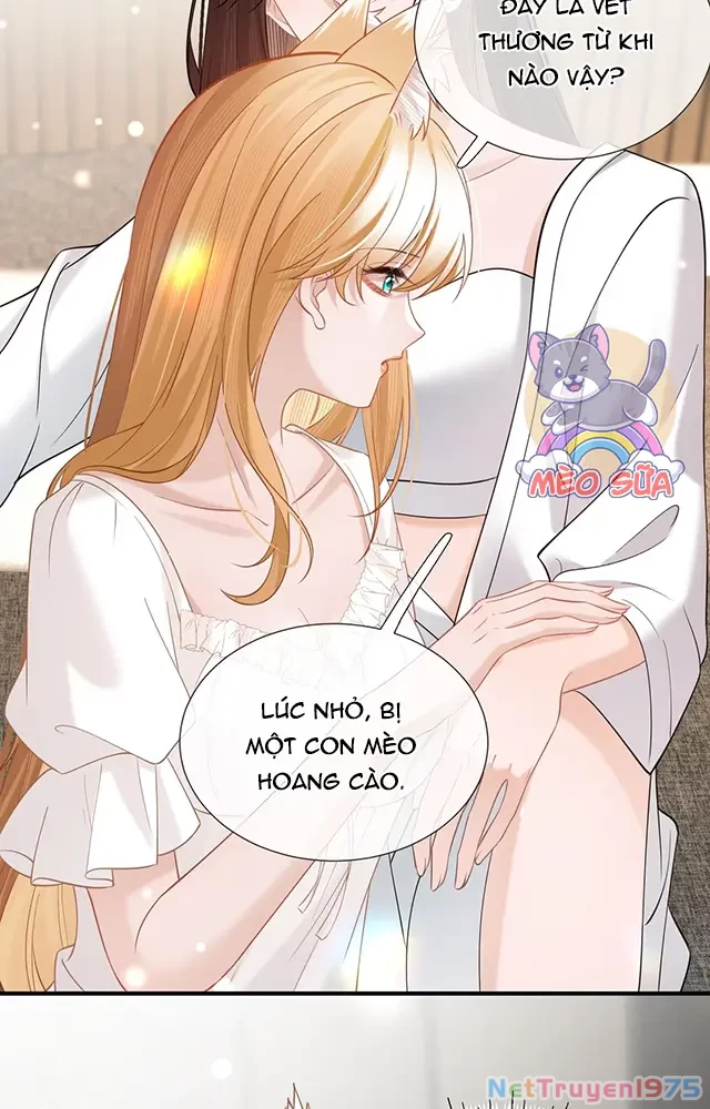Thưa Ngài, Đuôi Của Ngài Không Giấu Được Nữa Rồi Chapter 19 - Trang 2